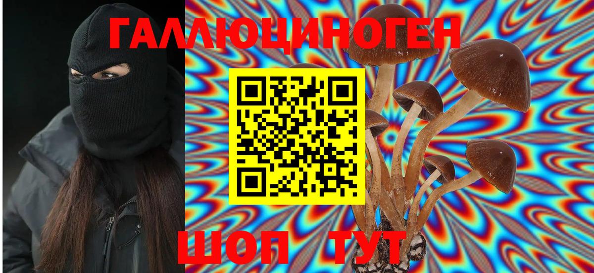 Галлюциногенные грибы Psilocybe Усть-Лабинск