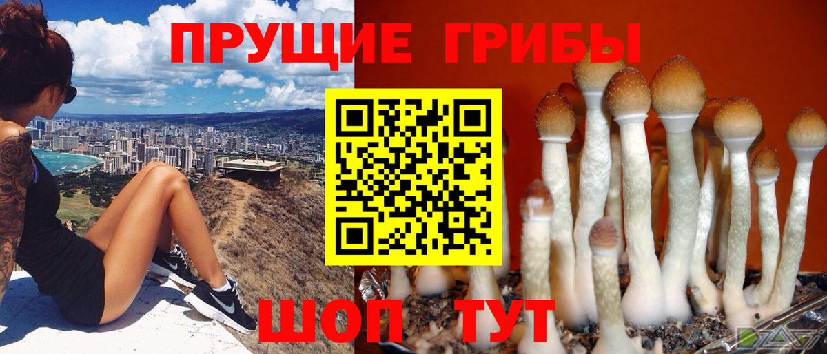 что такое наркотик  Галлюциногенные грибы Psilocybine cubensis  Вход с VPN  Усть-Лабинск 